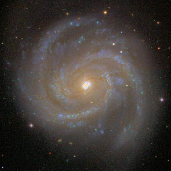 Spiral Galaxy