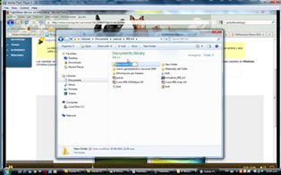 Windows Vista