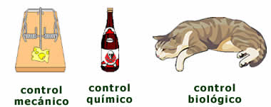 Como El Gato Y El Raton [2002]