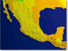 mexch.jpg (13664 bytes)