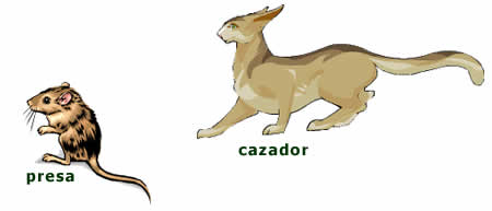 Aprovechamiento De Los Bosques