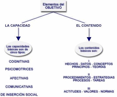 contenidos actitudinales procedimentales y conceptuales pdf