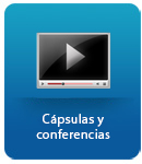 Conferencias en línea