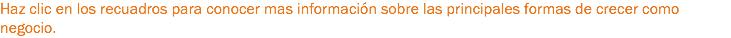 Haz clic en los recuadros para conocer mas información sobre las principales formas de crecer como negocio.