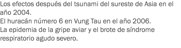 Los efectos después del tsunami del sureste de Asia en el año 2004.
El huracán número 6 en Vung Tau en el año 2006.
La epidemia de la gripe aviar y el brote de síndrome respiratorio agudo severo. 