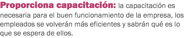 Proporciona capacitación: la capacitación es necesaria para el buen funcionamiento de la empresa, los empleados se volverán más eficientes y sabrán qué es lo que se espera de ellos.