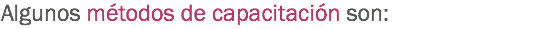 Algunos métodos de capacitación son: