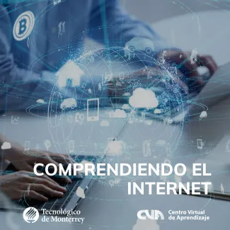 Comprendiendo el Internet