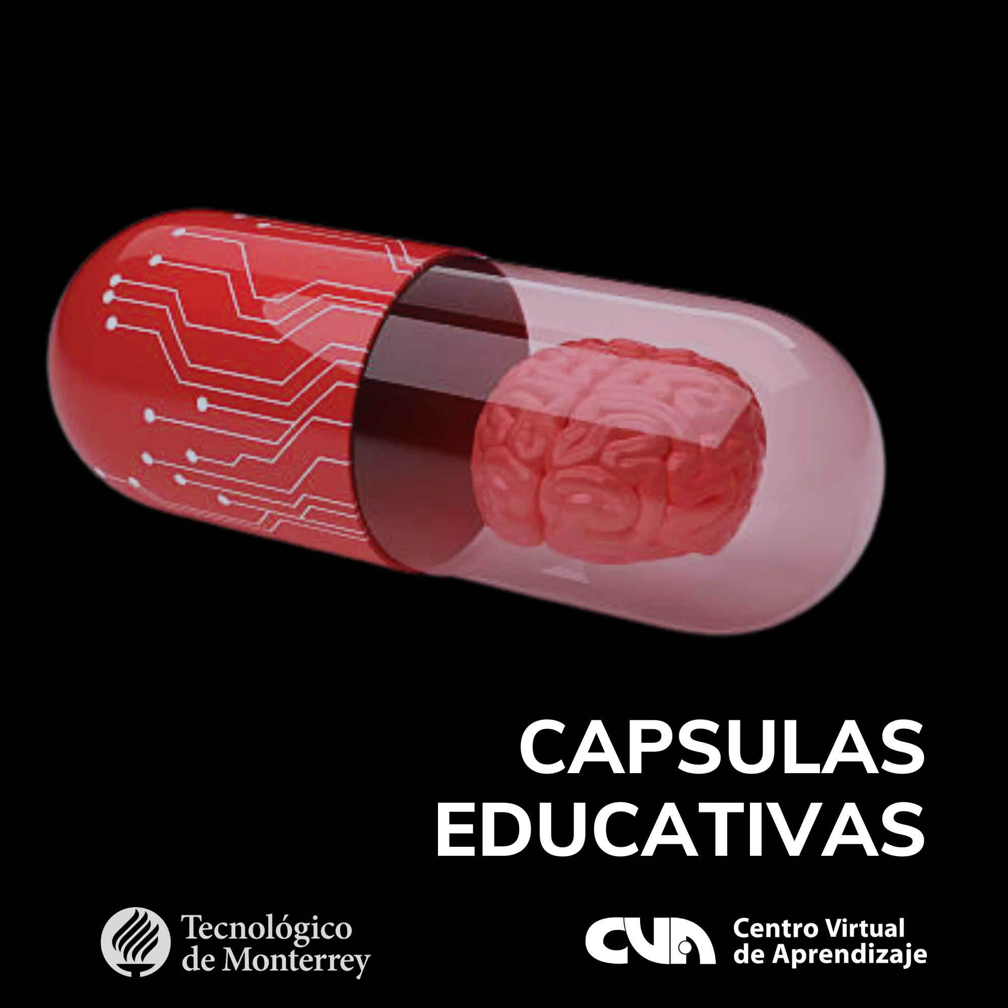 Capsulas educativas