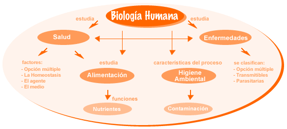 Ejemplo de Mapa Mental